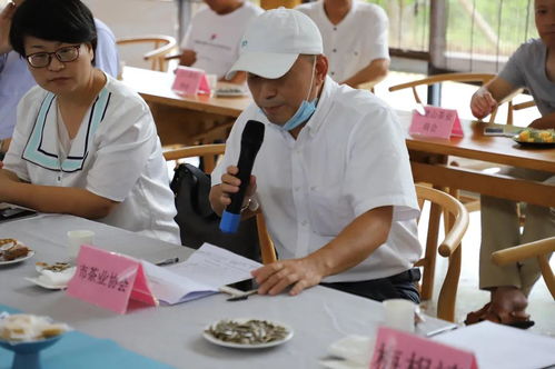 中国传统制茶技艺及其相关习俗 保护工作组莅鼎调研